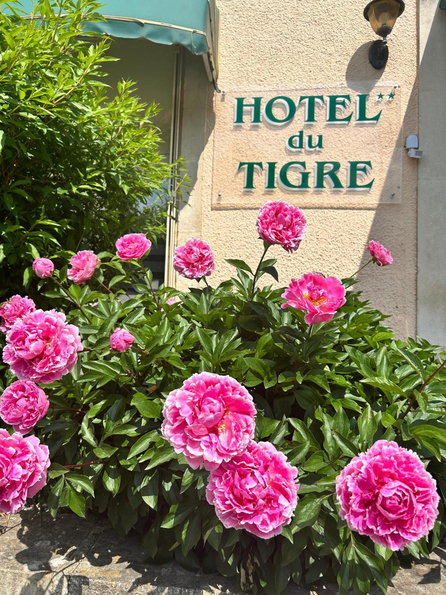 Cit'Hotel Du Tigre Verdun-sur-Meuse Exterior foto